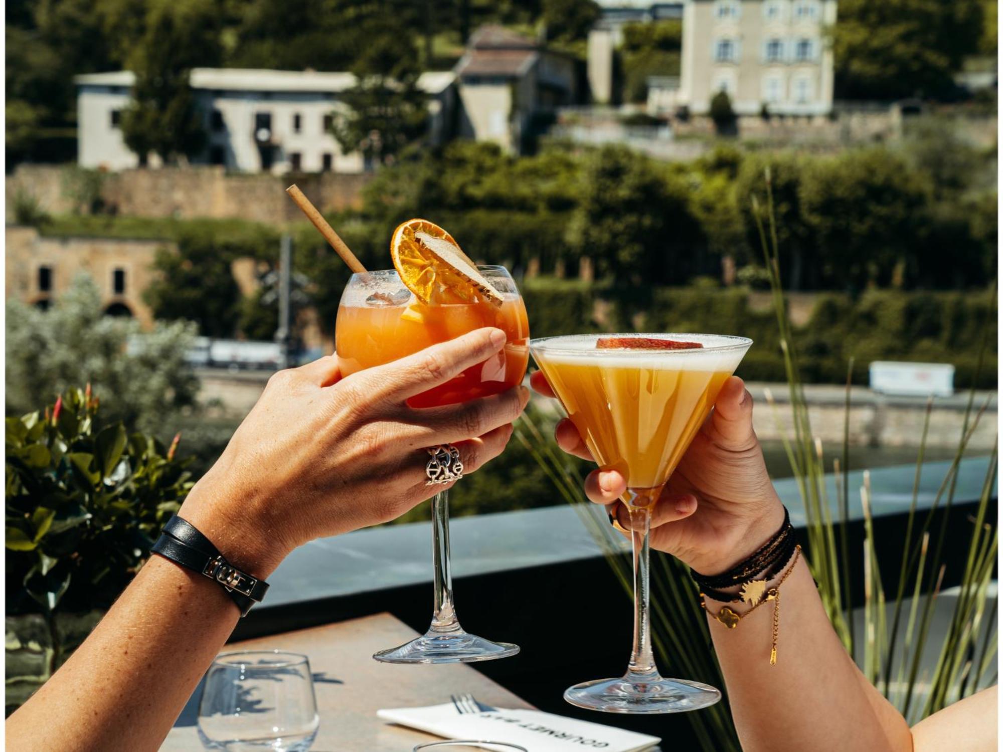 诺富特中心酒店（Hotel Novotel Centre-confluence Bord De Saone Lyon）
